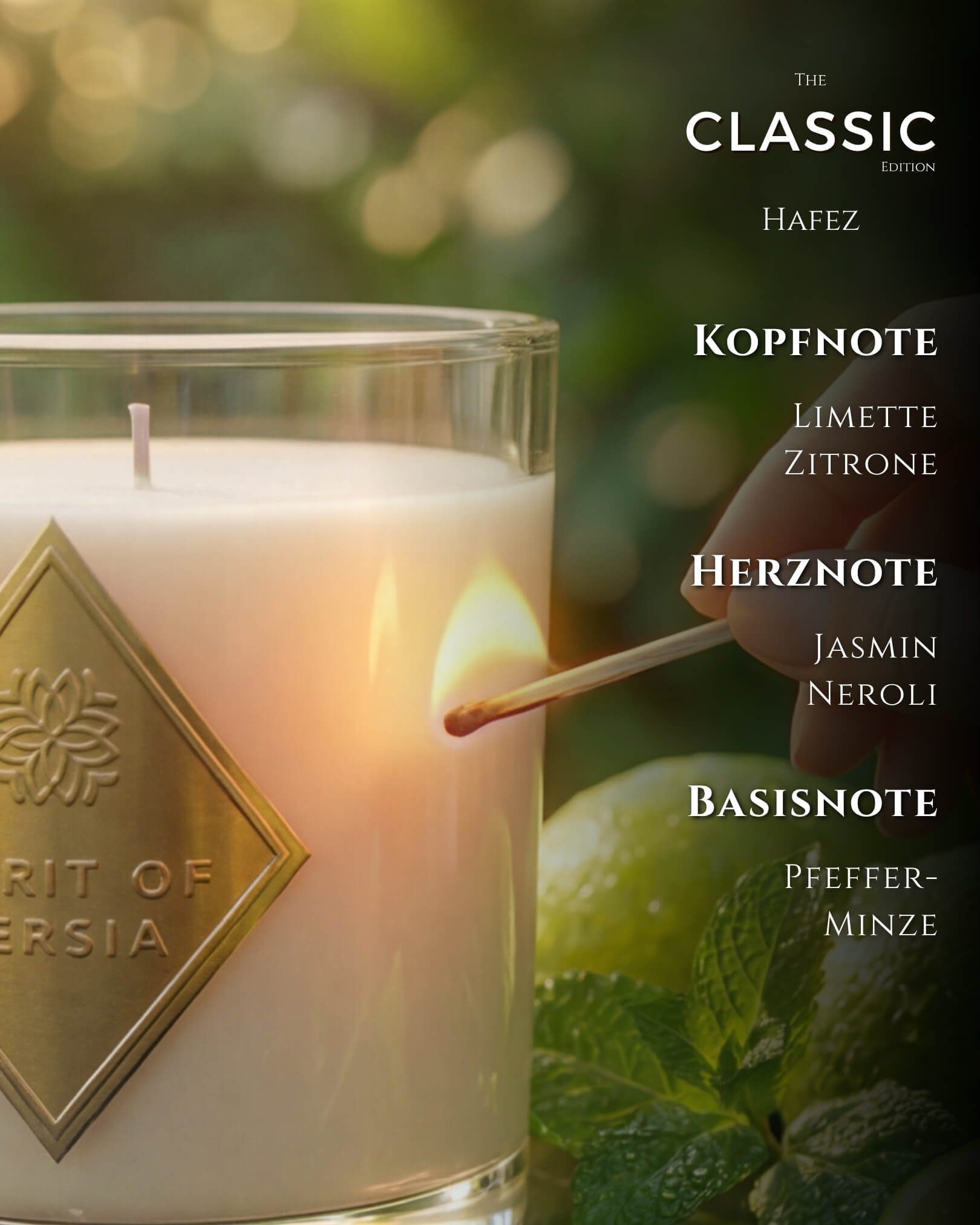 Duftkerze Hafez Probegröße 180 ml aus Sojawachs – Limette, Jasmin & Pfefferminze – Spirit of Persia
