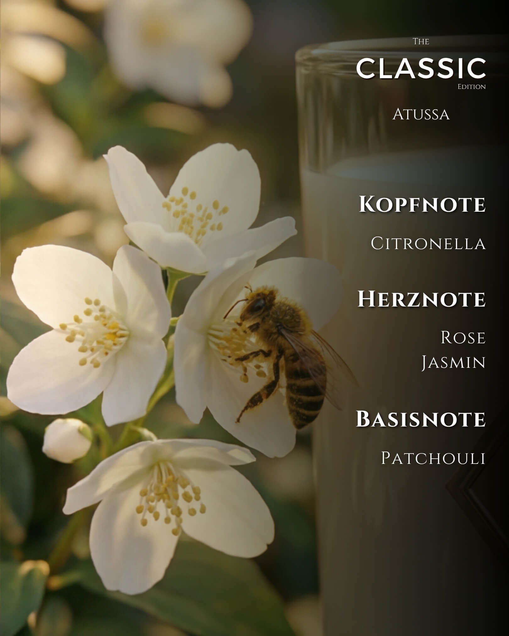 Citronella-Duftkerze Atussa Probegröße 180 ml aus Sojawachs – Rose & Jasmin – Spirit of Persia