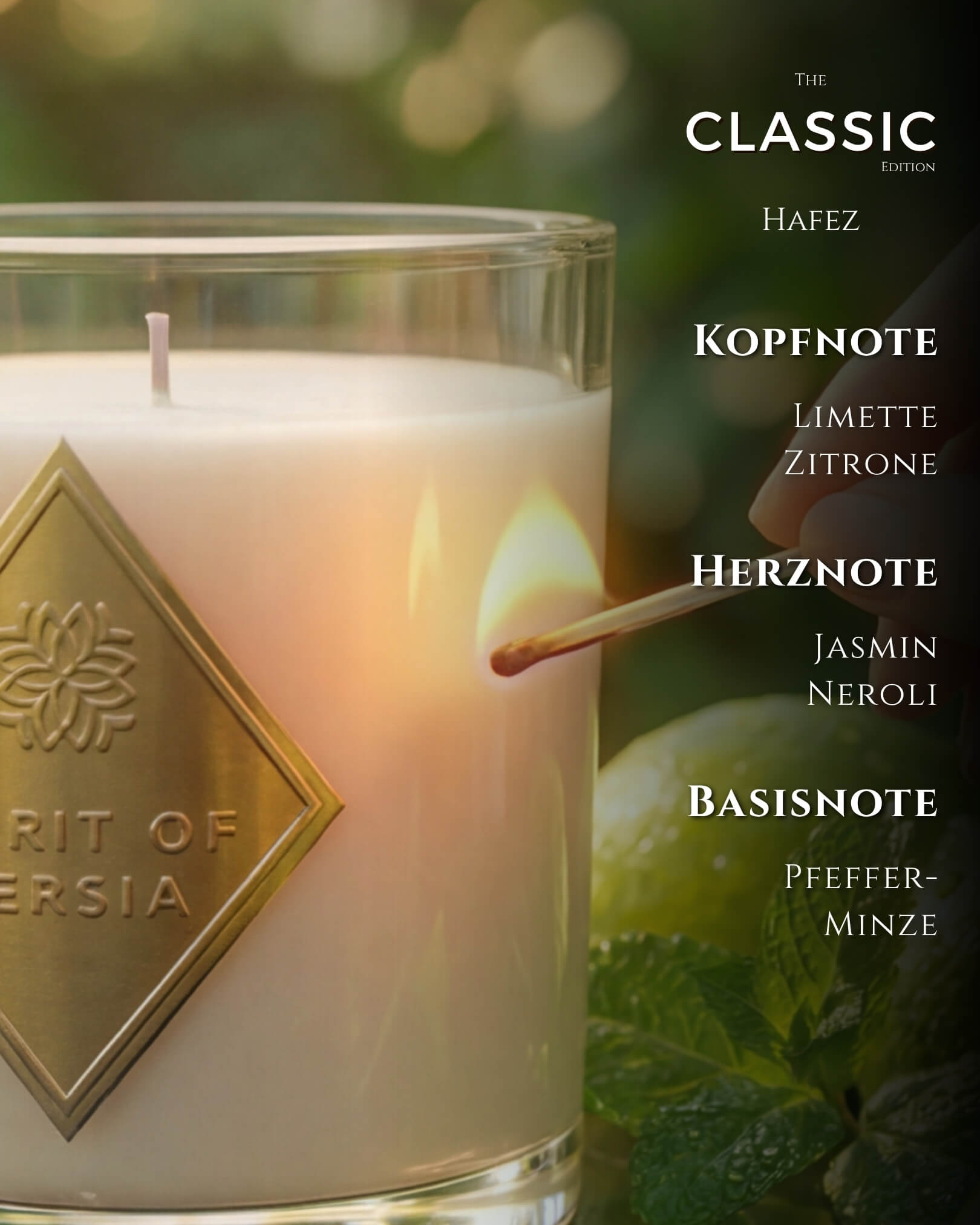 Classic-Bundle „Magic of Meditation"